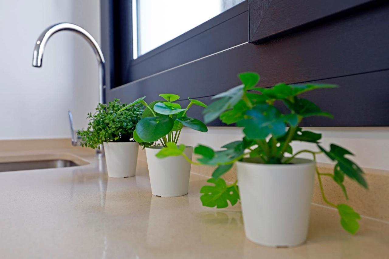 Victoria Suites Apartments Córdoba Eksteriør bilde